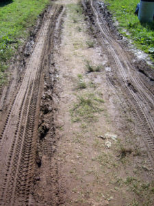 Tire Tracks in Mud